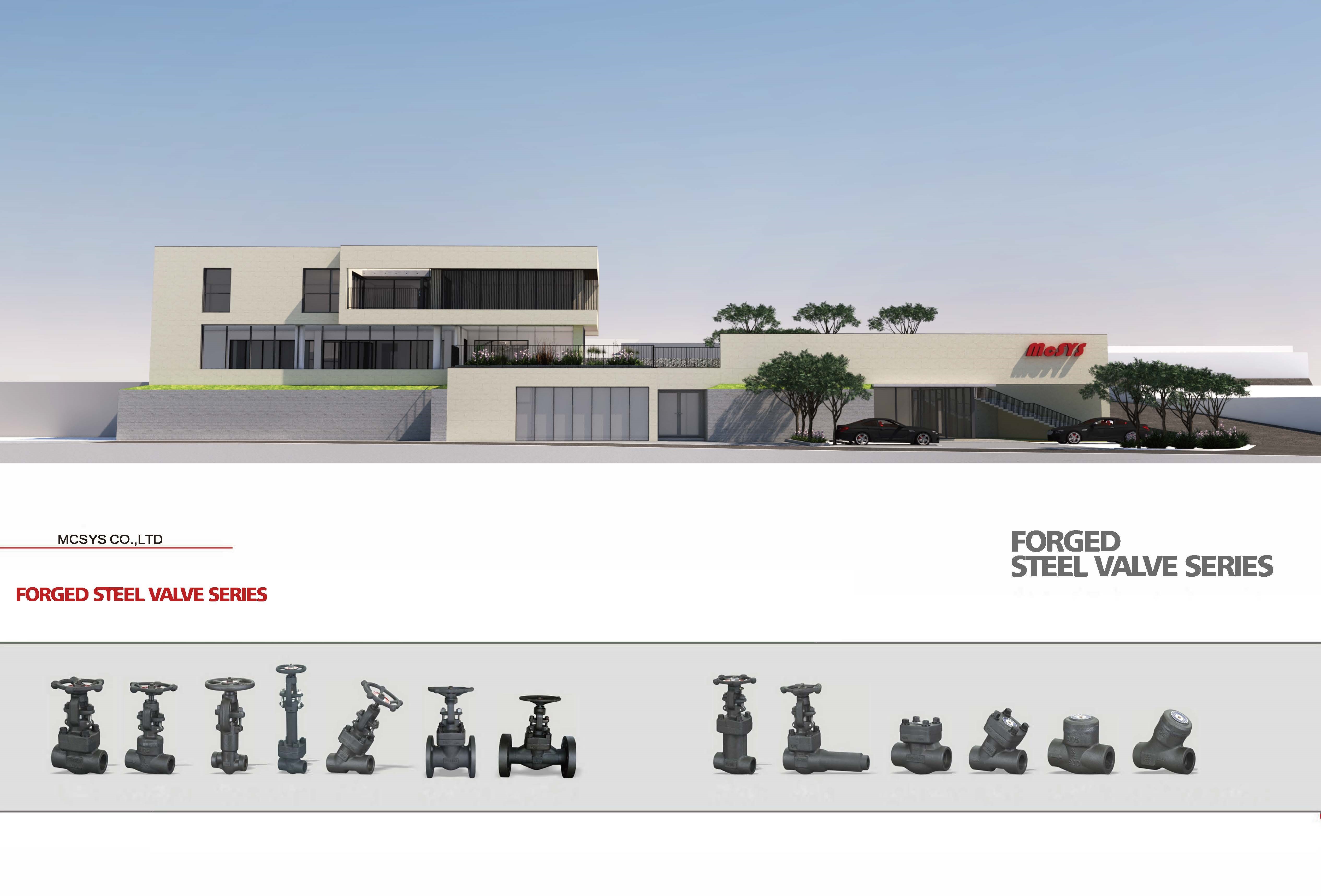 Forged steel  valves 2.jpg