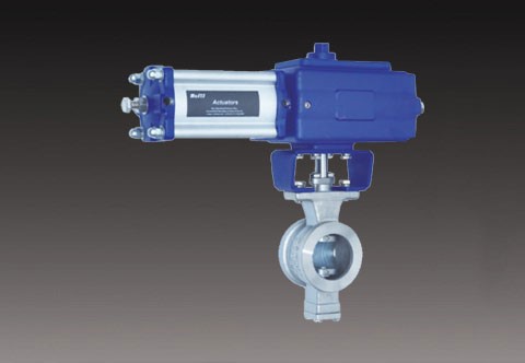 V-Notch Ball Valves