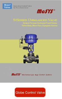 Globe control valve