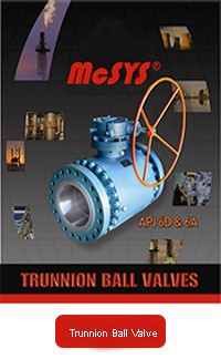 trunnion ball .jpg