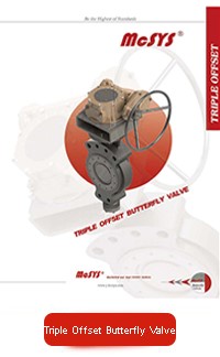 Triple offset butterfly valve 