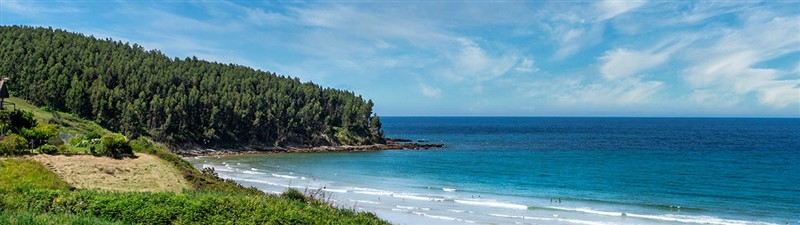 五周年报告.jpg 五周年报告.jpg