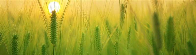 关怀员培训.jpg 关怀员培训.jpg