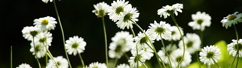 爱力招聘我们需要这样的你.jpg 爱力招聘我们需要这样的你.jpg