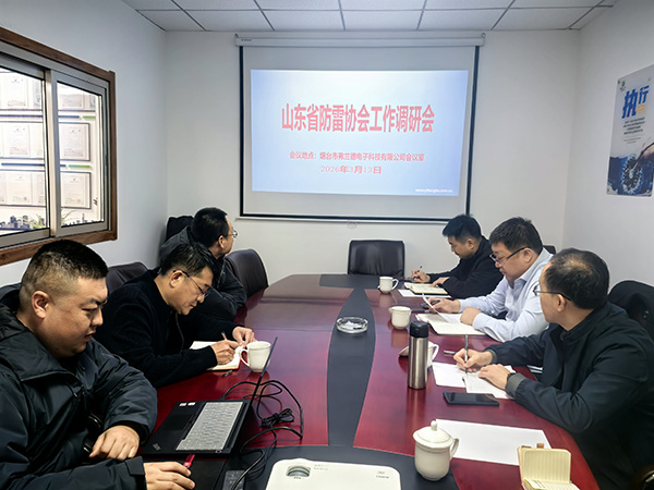 凝心聚力促发展 精准指导提质效｜山东省防雷协会领导一行莅临我司调研指导