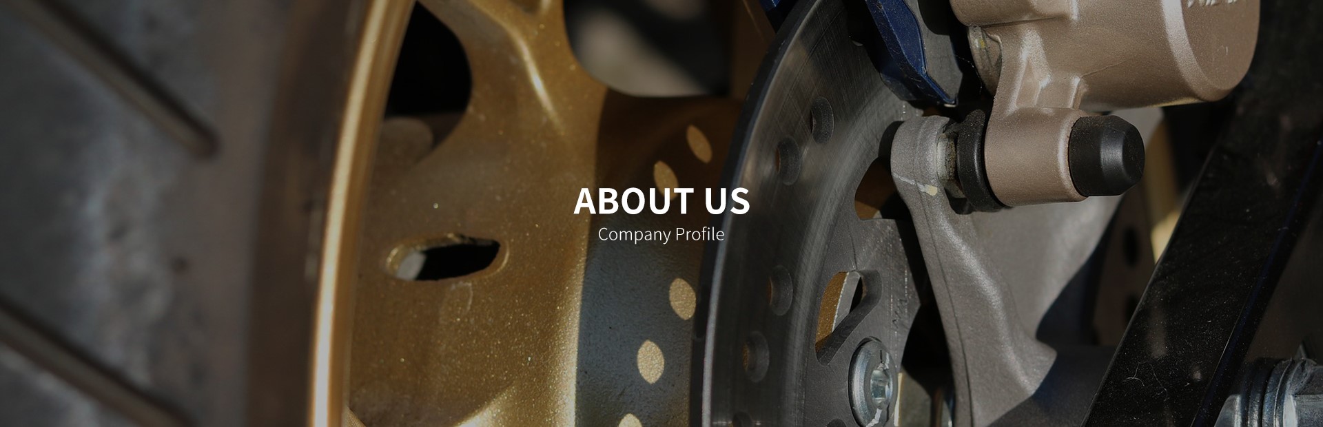 DEVELOPMENT STRATEGY banner
