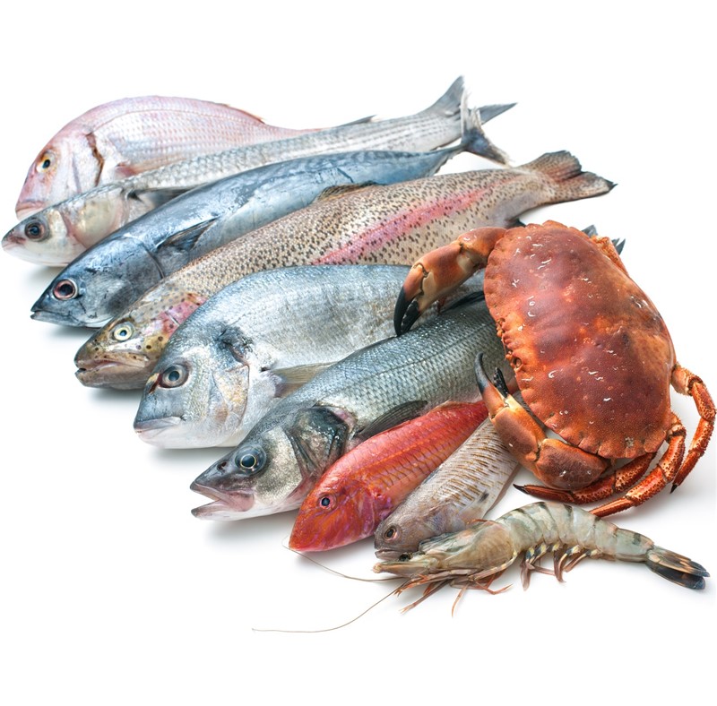 bigstock-Seafood-Isolated-On-White-Back-60014423.jpg