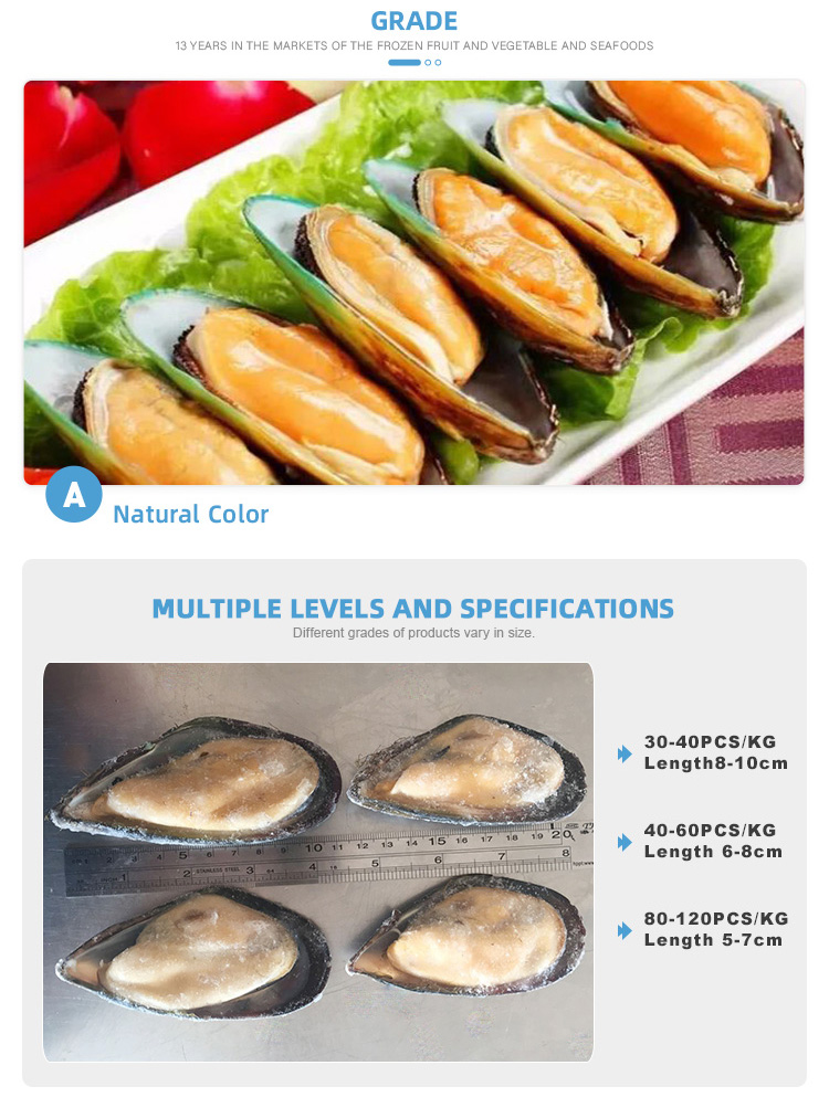 Frozen Blue Mussel Meat with Shell