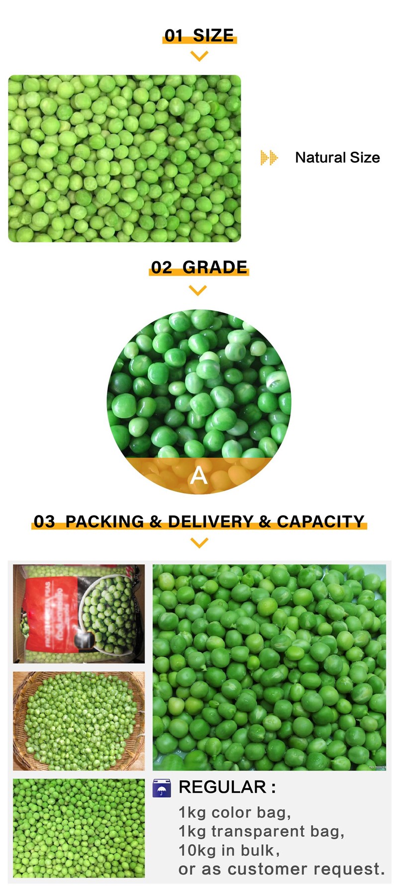 China high quality IQF FROZEN GREEN PEA