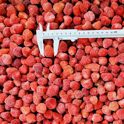 frozen fruits.jpg